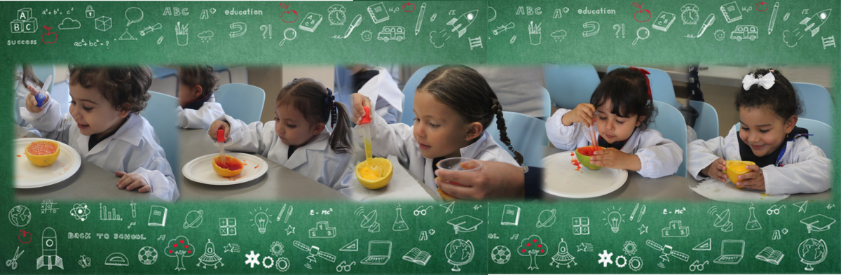 LITTLE SCIENTISTS AT WORK