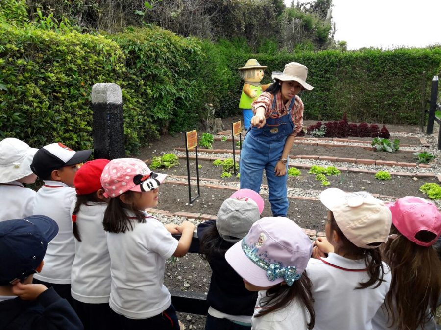 PREKÍNDER:¡MI COMPROMISO ES CUIDAR LA NATURALEZA! – CAS NEWS