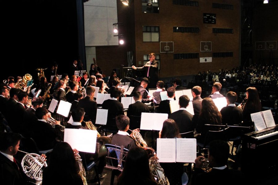 Copia de IMG_7598