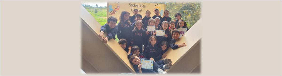 SPELLING BEE 1° GRADE