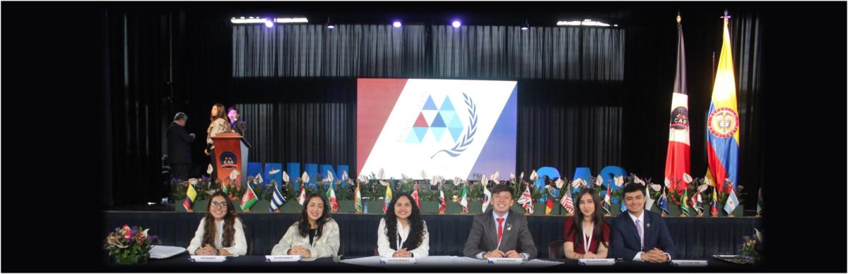 LA EXPERIENCIA INOLVIDABLE DE MUN: UN VIAJE DE DEBATE Y CREATIVIDAD