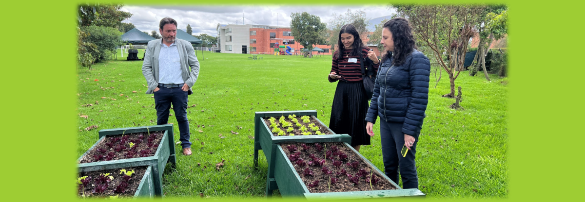 RETOS EN MATERIA AMBIENTAL CON ECOSCHOOL