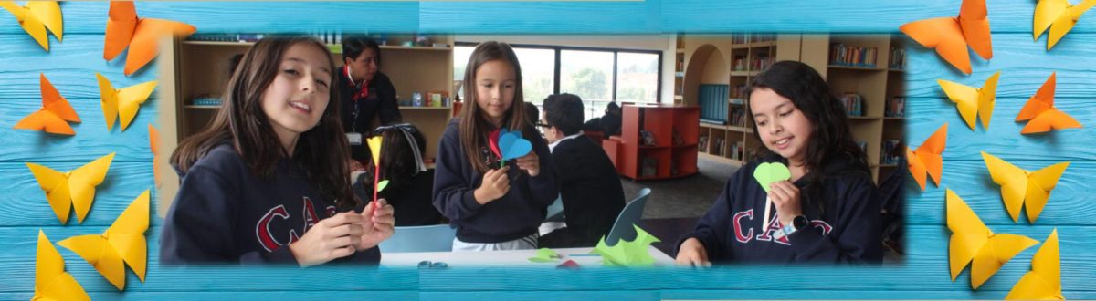 ORIGAMI EN EL MEDIA CENTER