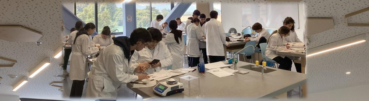 CONVIRTIÉNDONOS EN EXPERIENCIA