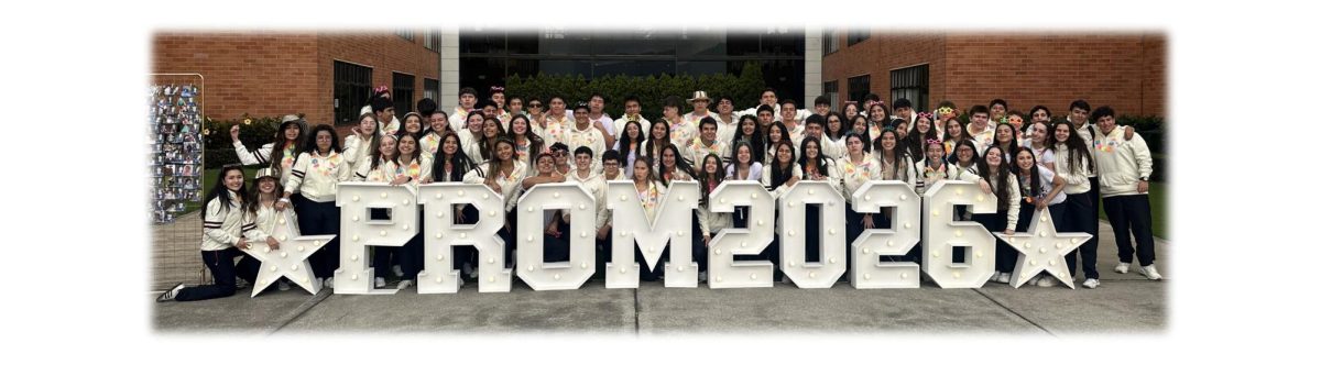 UN NUEVO AÑO, UNA NUEVA OPORTUNIDAD