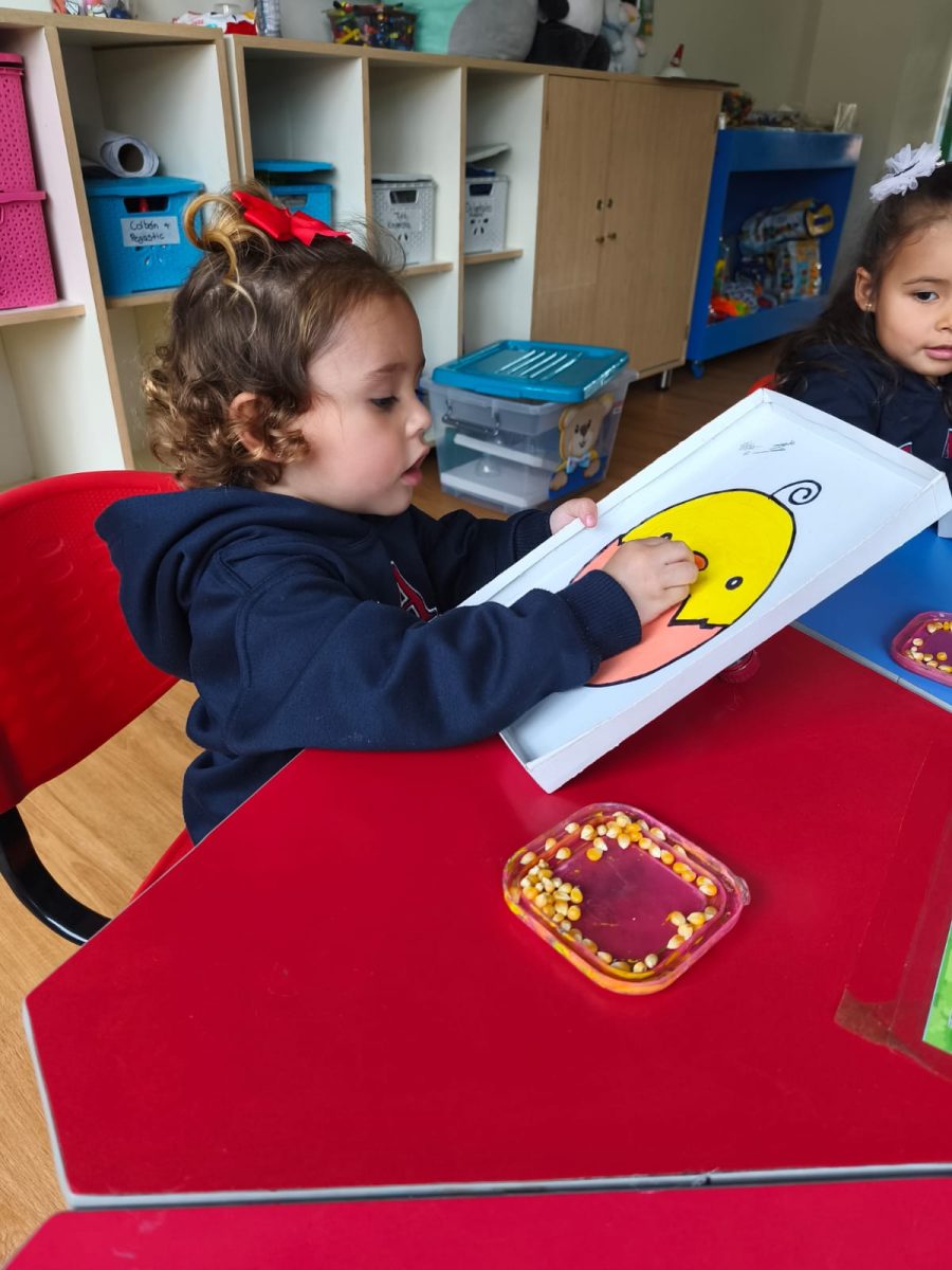 Foto Sandra Camargo 3