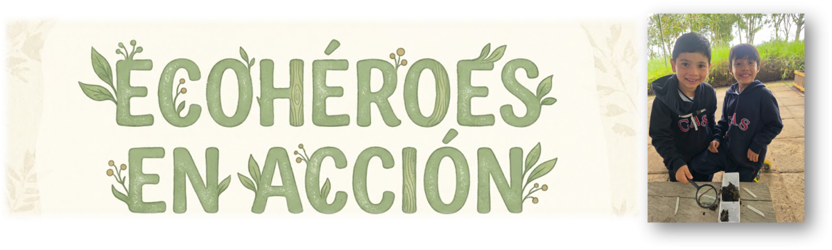 ECOHÉROES EN ACCIÓN: ESTUDIANTES DE GRADO TERCERO EXPLORAN EL PARQUE AMBIENTAL BISVITA