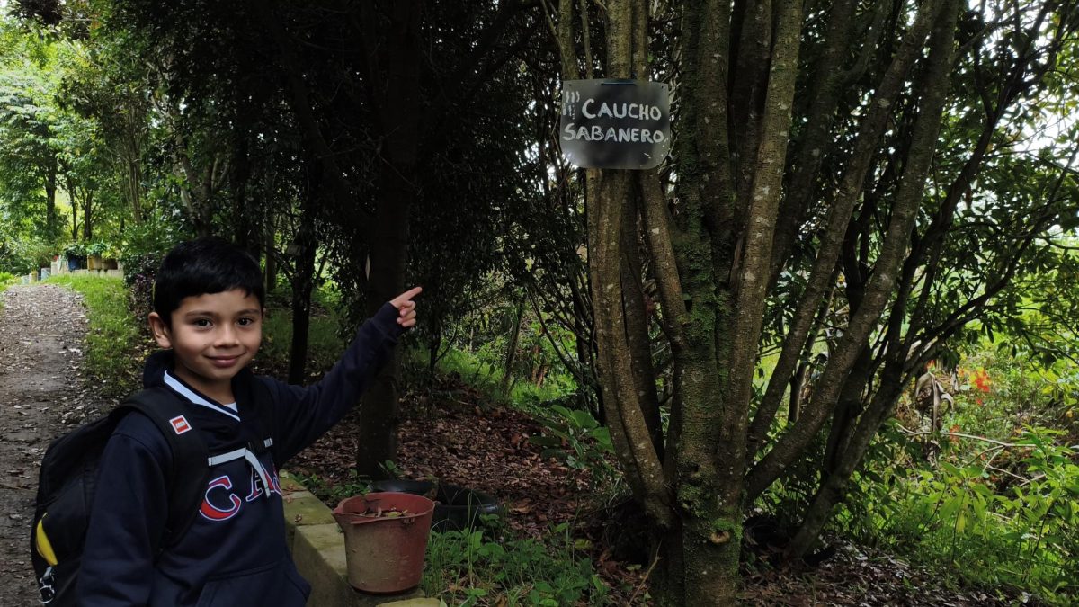 WhatsApp Image 2026-03-11 at 2.56.34 PM (1)