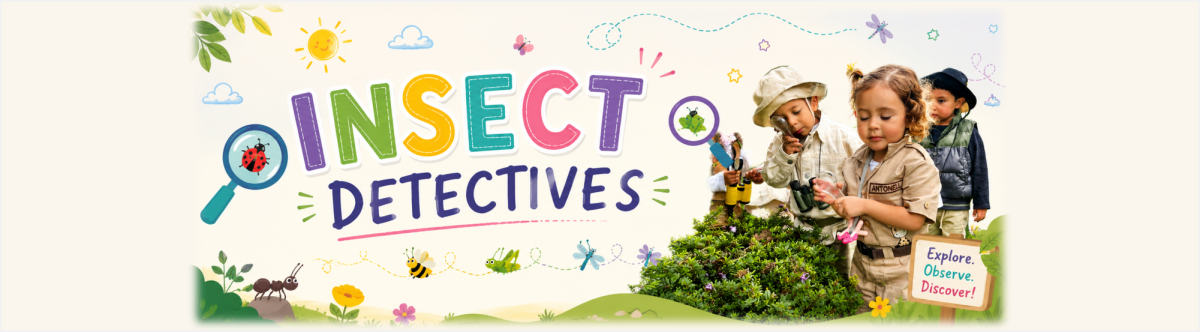 INSECT DETECTIVES